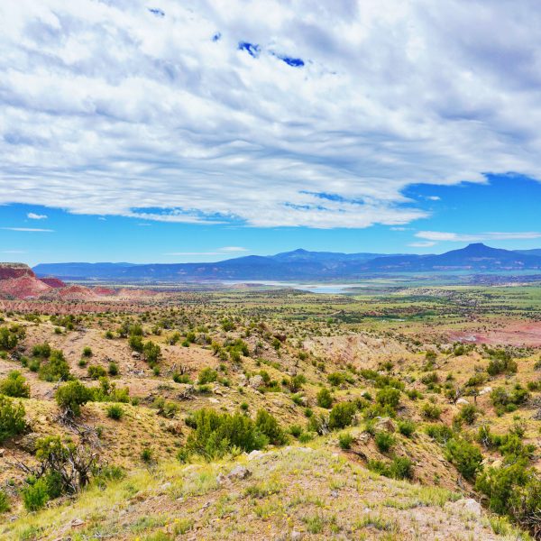 New Mexico LASIK Eye Surgery