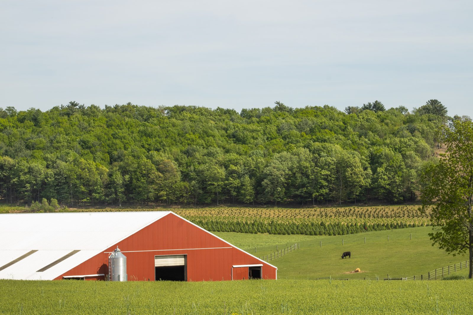 lancaster PA LASIK Eye Surgery