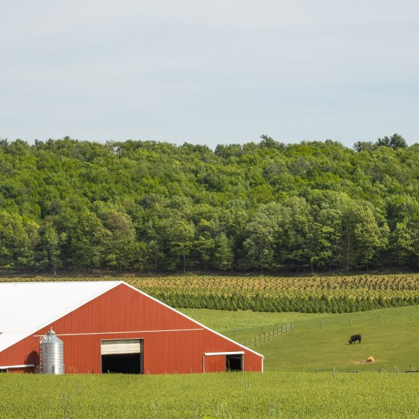 Lancaster, PA