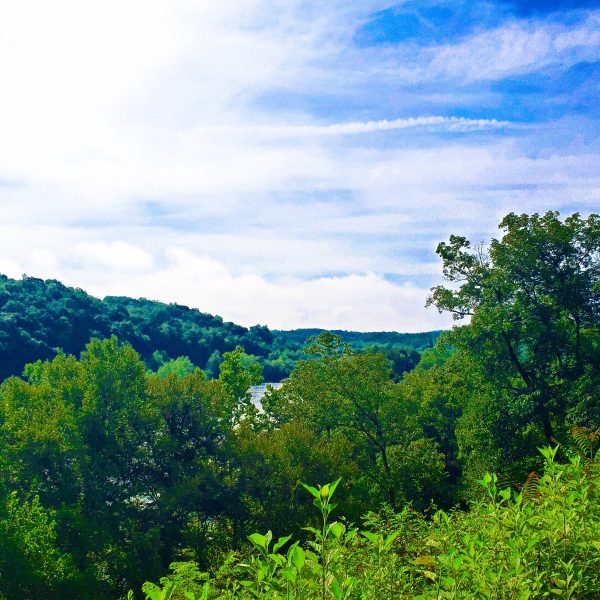 Asheville, NC