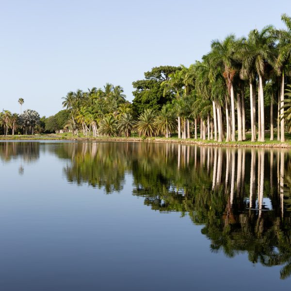 Lakeland, FL
