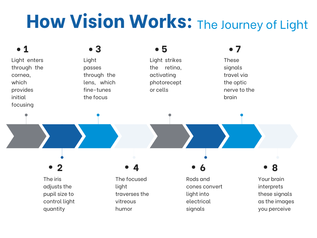 how vision works